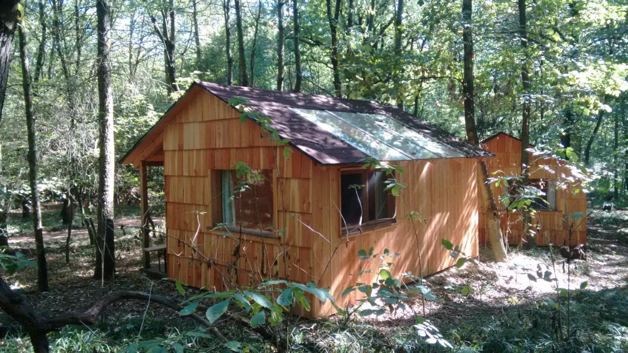 فيلا Ochys Waldfreizeitpark Oberkreuzstetten المظهر الخارجي الصورة